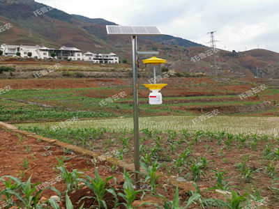 太陽(yáng)能殺蟲(chóng)燈廠家哪家好